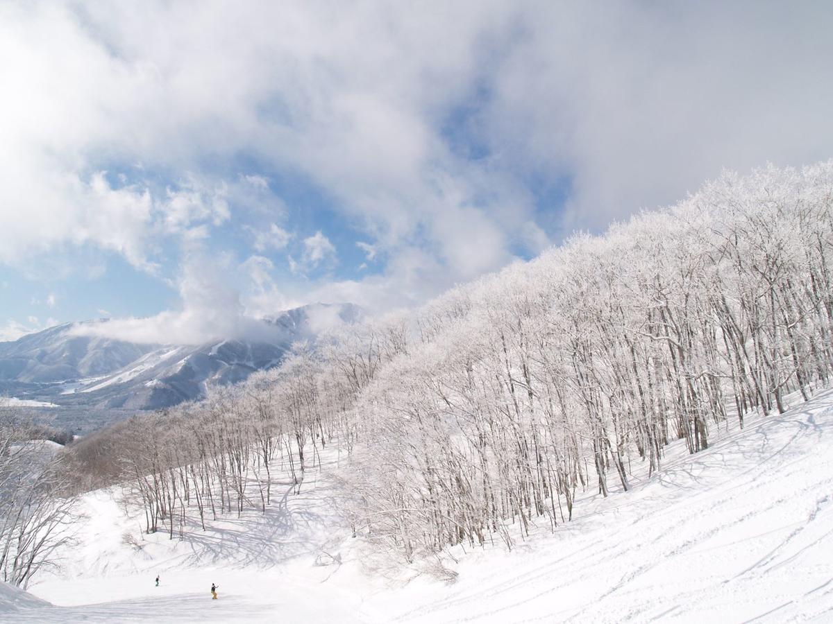 Hakuba Youluri Ngoại thất bức ảnh